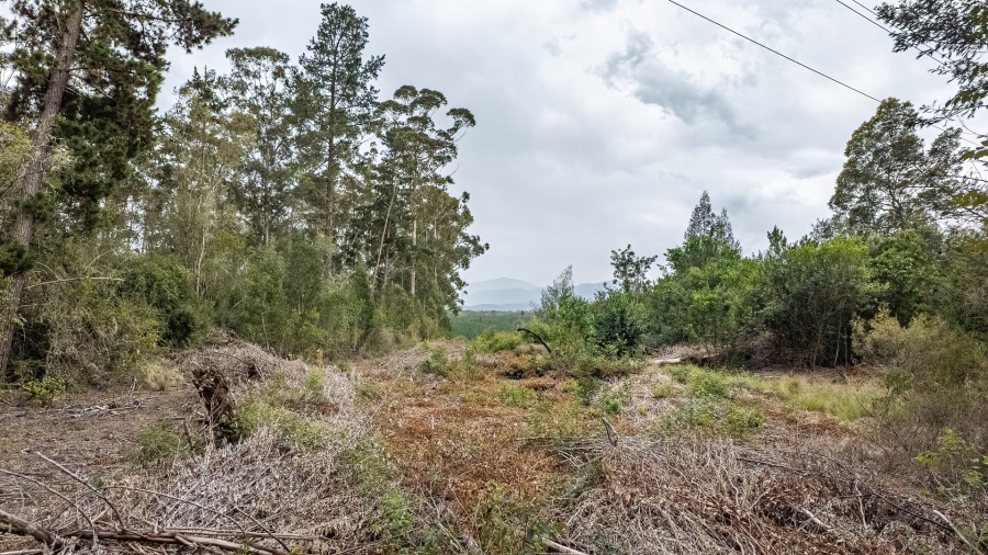 Commercial Property for Sale in Sedgefield Rural Western Cape